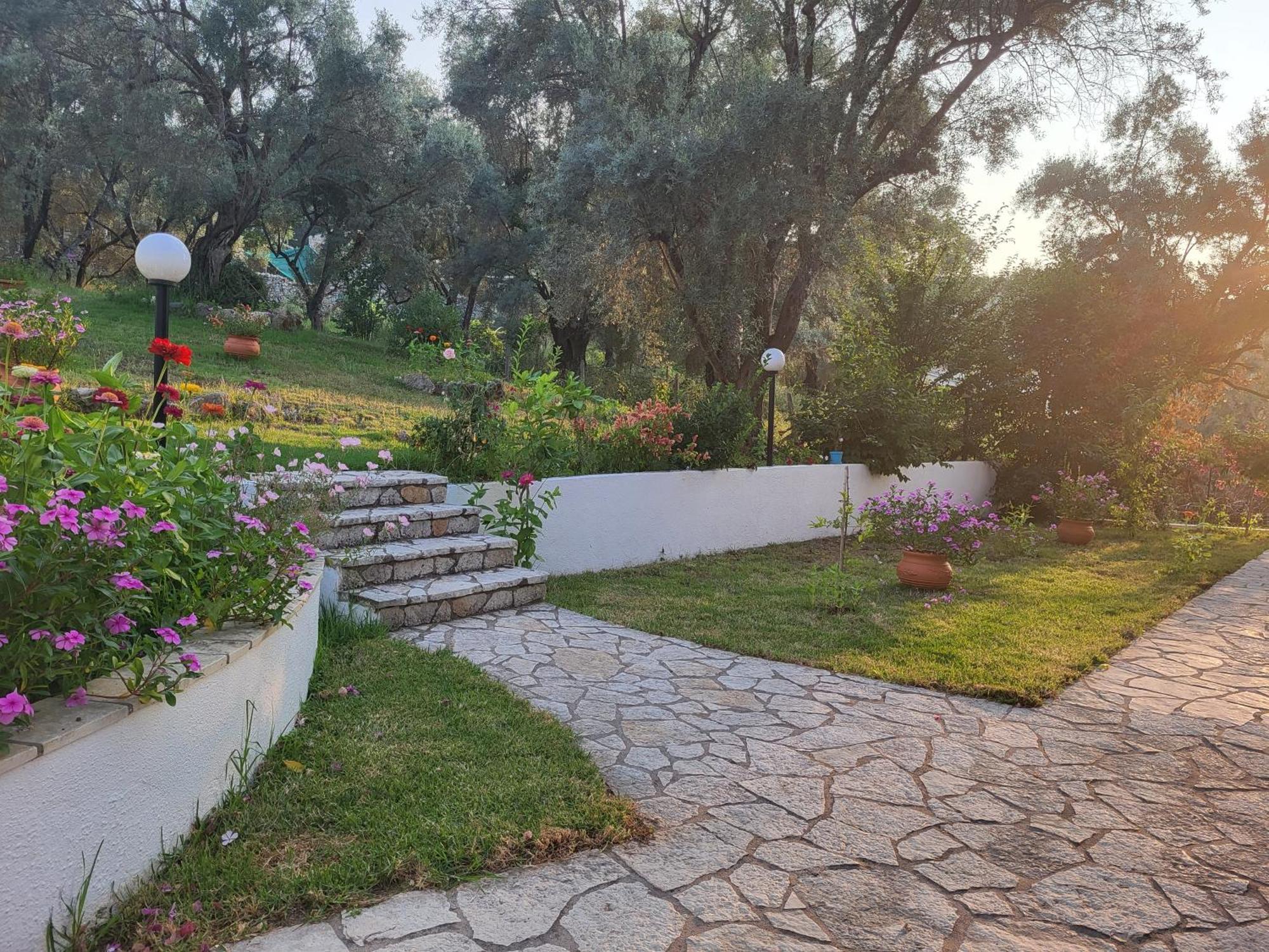 Dimitra Studios Lefkada City Ngoại thất bức ảnh